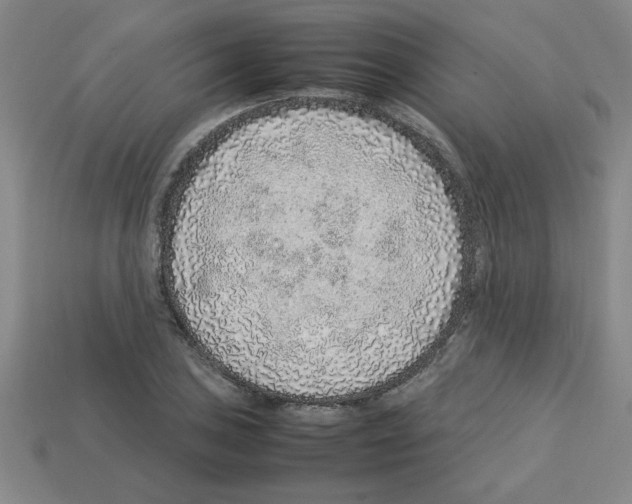 X0000112751027200910011150