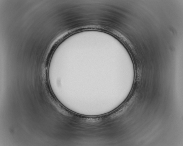 X0000112751029200910011150