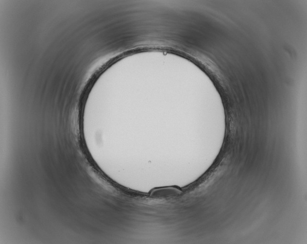 X0000112751030200910011150