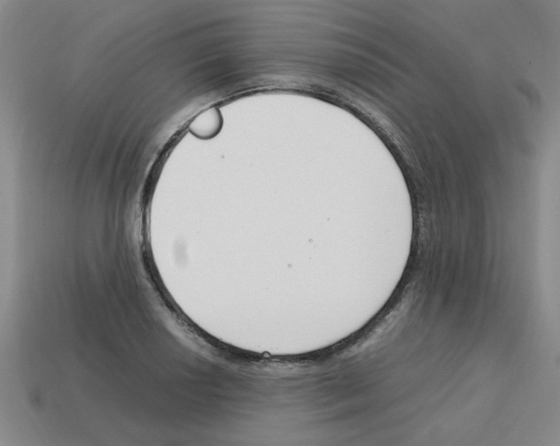 X0000112751034200910011150