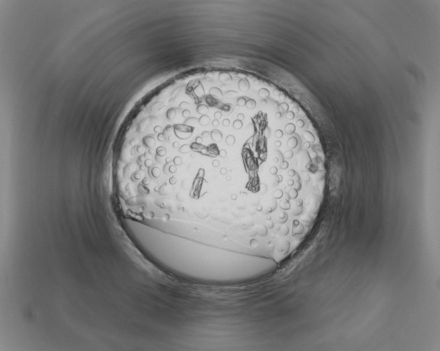 X0000112751036200910011150