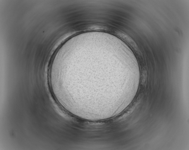 X0000112751039200910011150