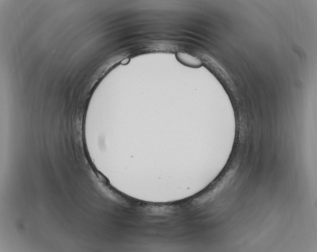 X0000112751041200910011150