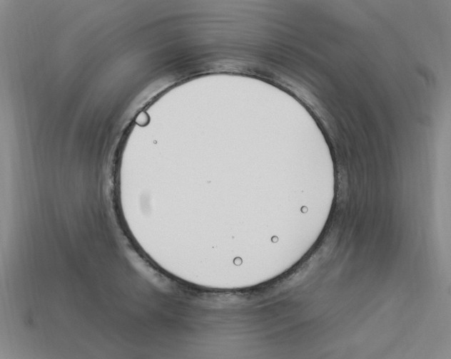 X0000112751042200910011150