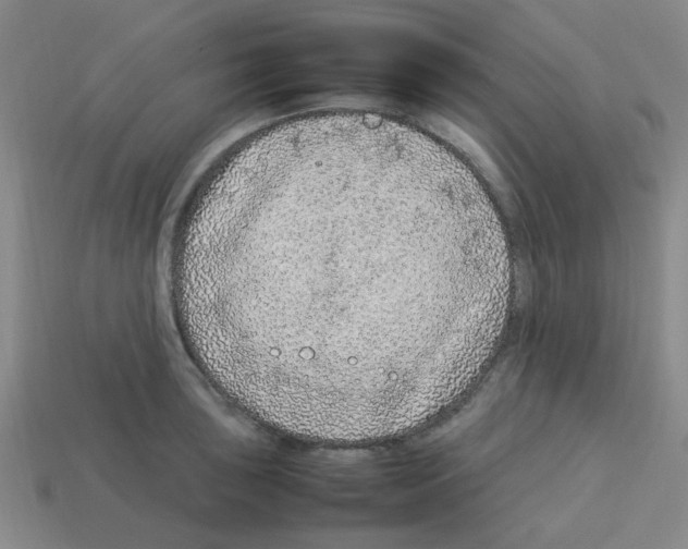 X0000112751043200910011150