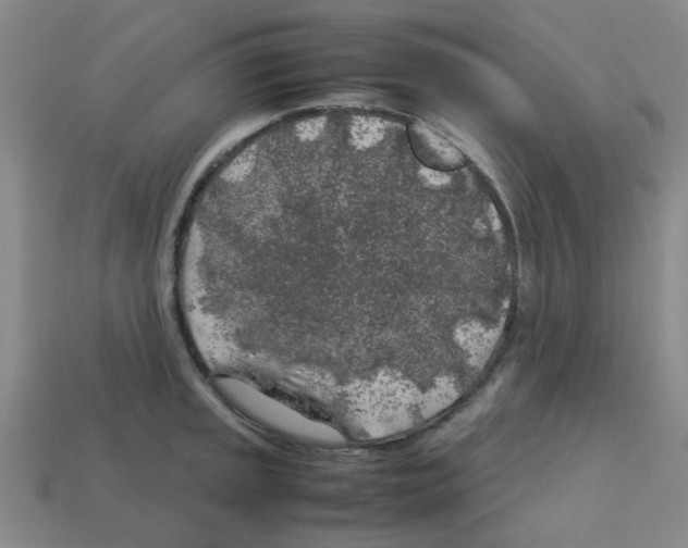 X0000112751045200910011150