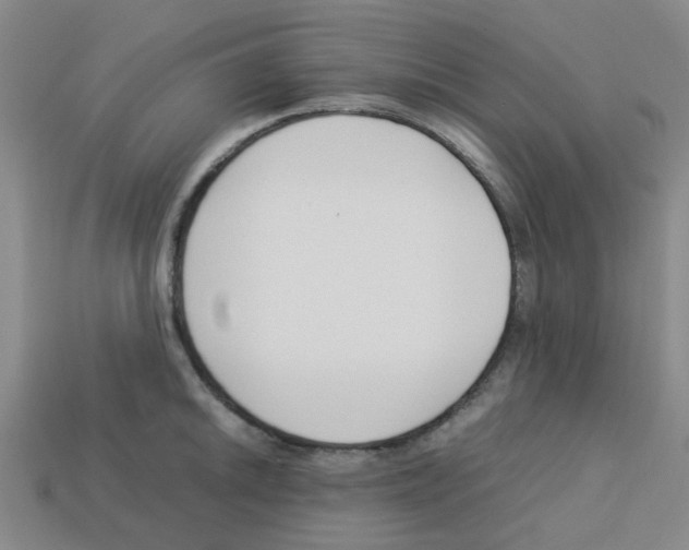 X0000112751046200910011150