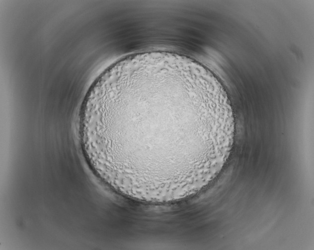 X0000112751047200910011150