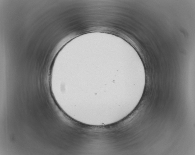 X0000112751050200910011150