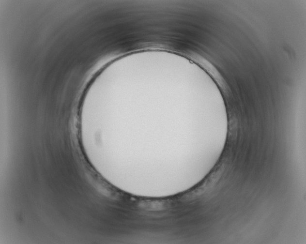 X0000112751051200910011150