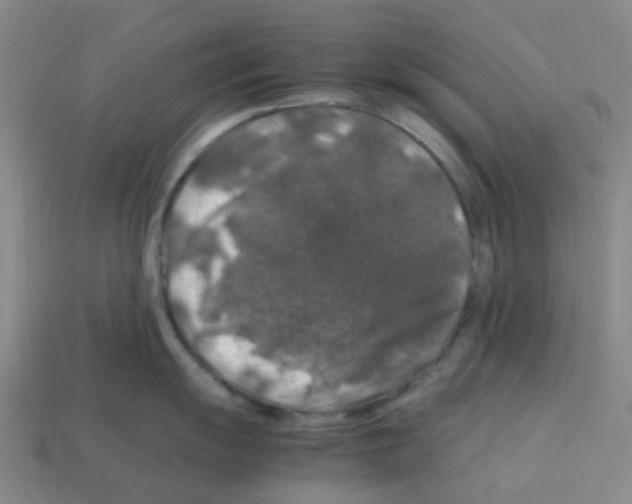 X0000112751055200910011150