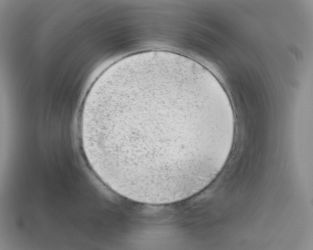 X0000112751056200910011150