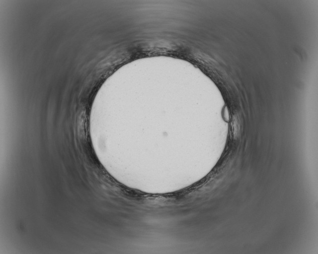 X0000112751059200910011149