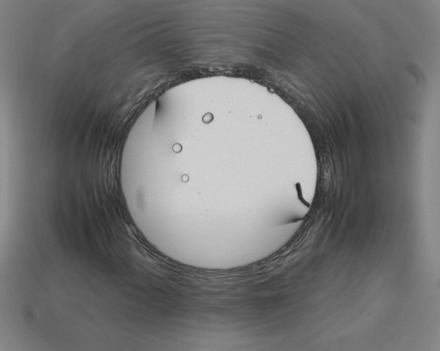 X0000112751060200910011149