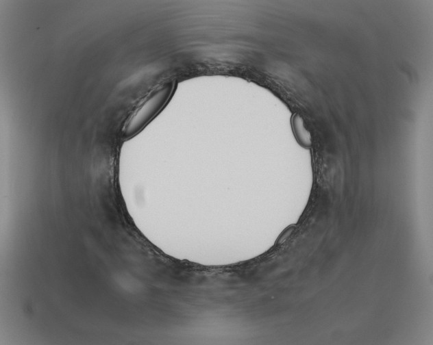 X0000112751061200910011149