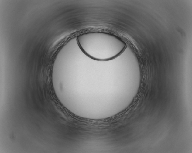 X0000112751064200910011149