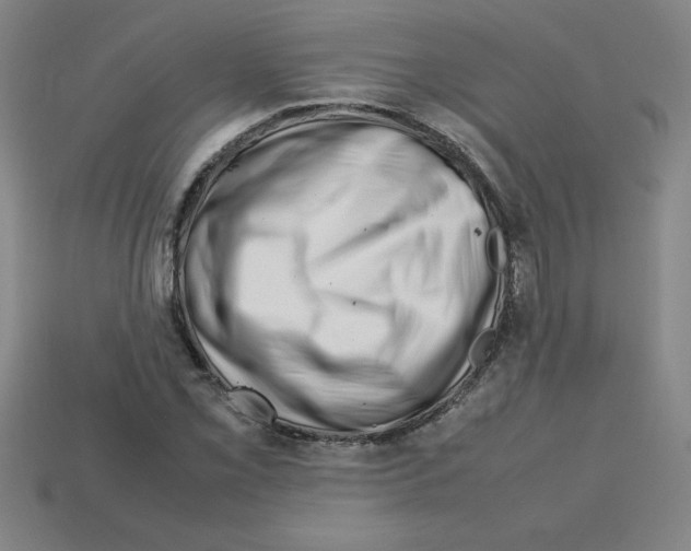 X0000112751069200910011149