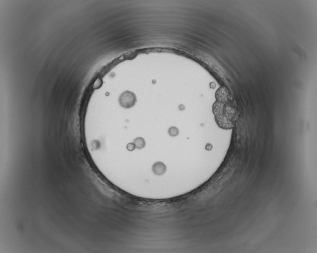 X0000112751072200910011149