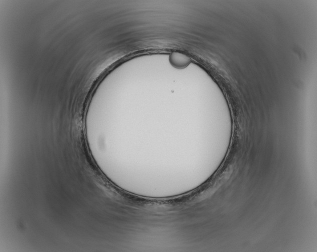 X0000112751073200910011149