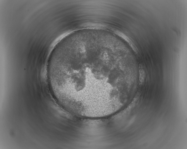 X0000112751074200910011149