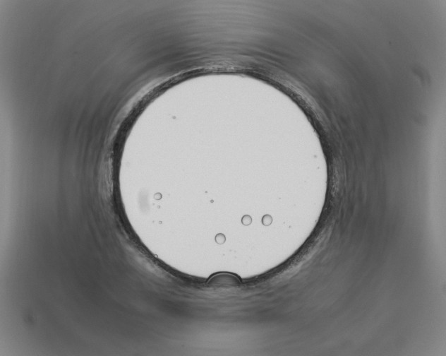 X0000112751075200910011149