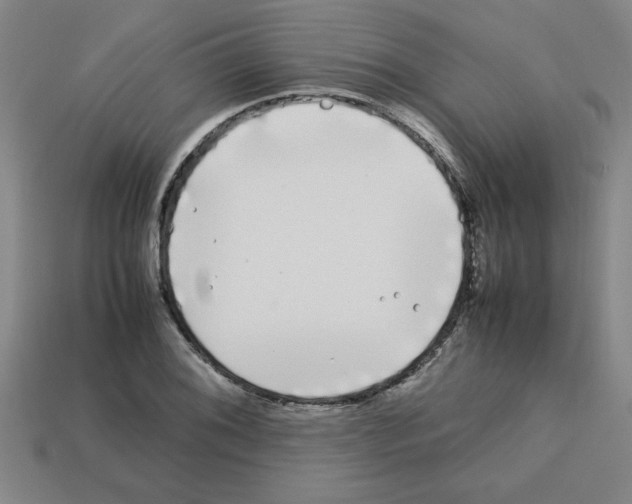 X0000112751076200910011149