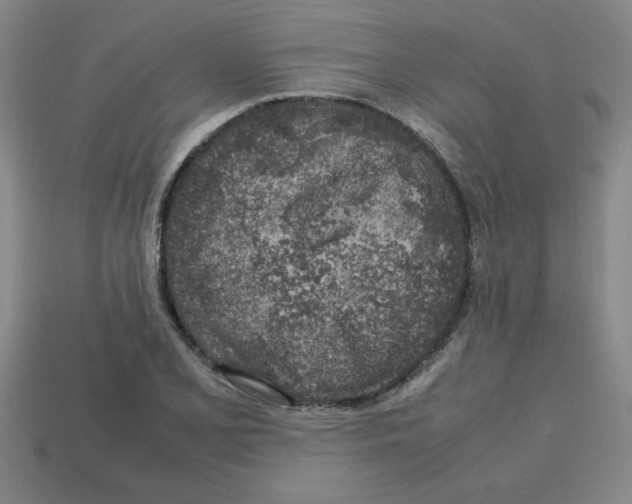 X0000112751077200910011149