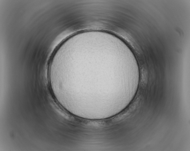 X0000112751078200910011149