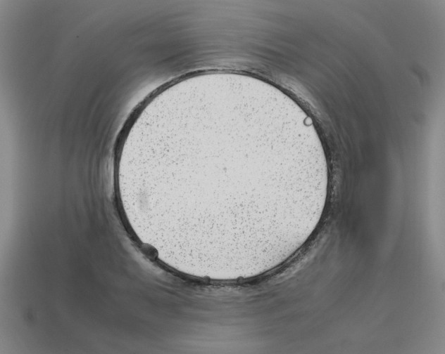 X0000112751079200910011149