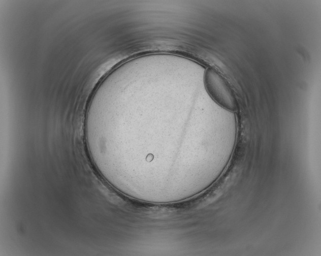 X0000112751081200910011149