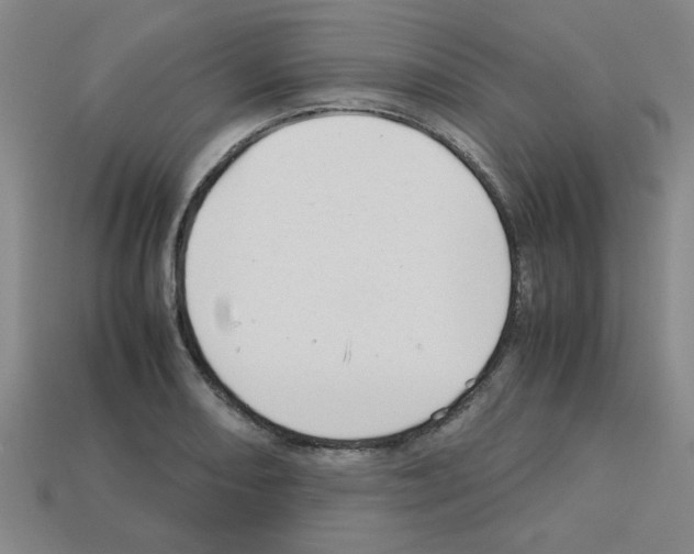 X0000112751082200910011149