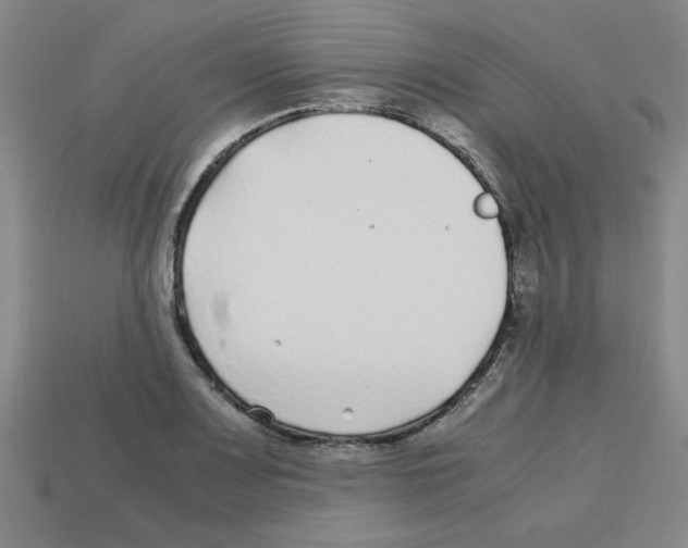 X0000112751083200910011149