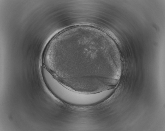 X0000112751084200910011149