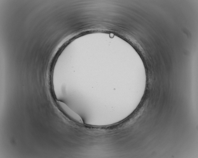 X0000112751085200910011149