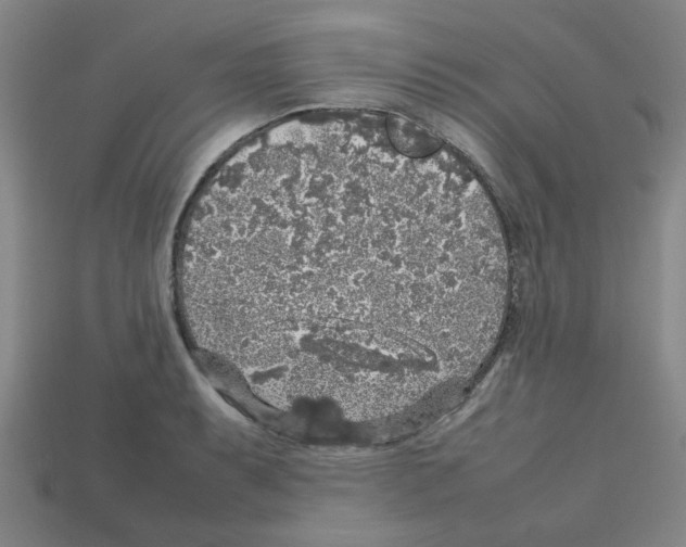 X0000112751087200910011149