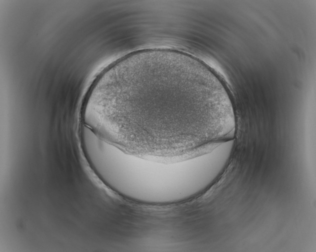 X0000112751088200910011149