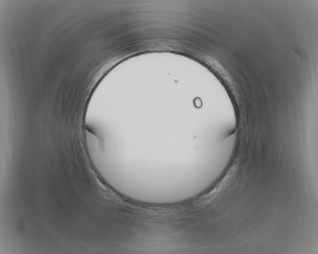 X0000112751089200910011149