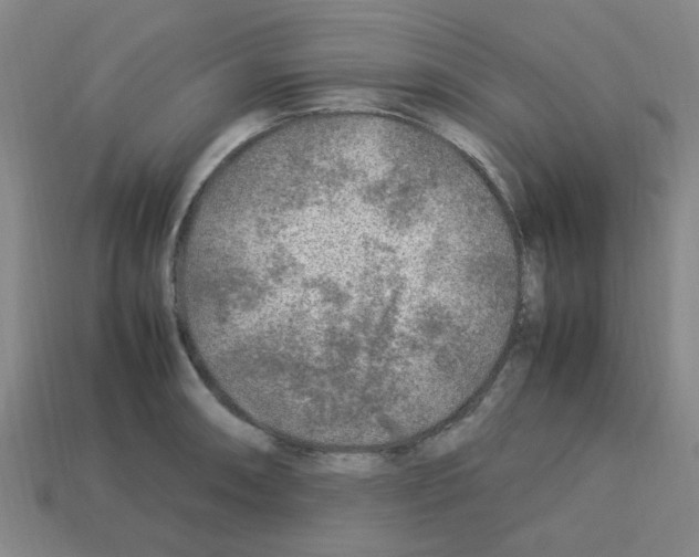 X0000112751090200910011149