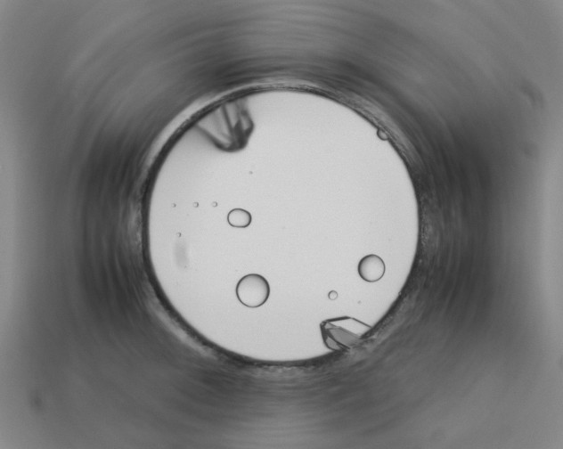 X0000112751092200910011149