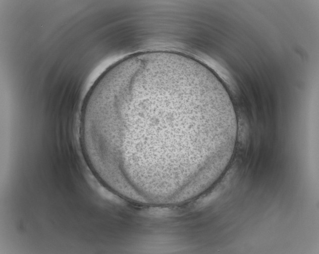 X0000112751094200910011149