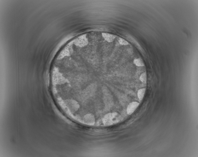 X0000112751095200910011149