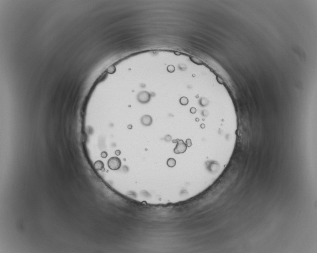 X0000112751096200910011149