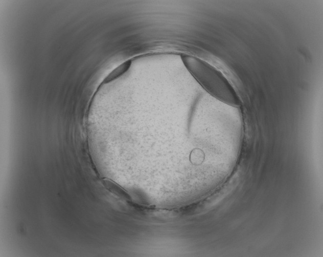 X0000112751097200910011149