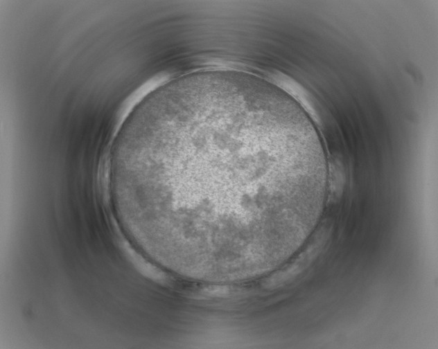 X0000112751098200910011149