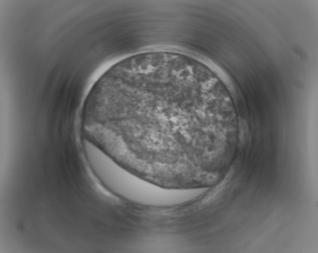 X0000112751102200910011149