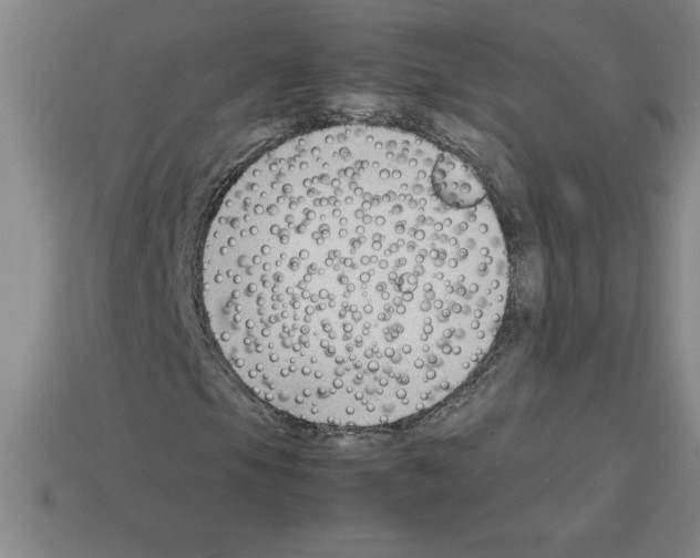 X0000112751105200910011148