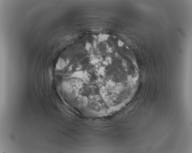 X0000112751106200910011148