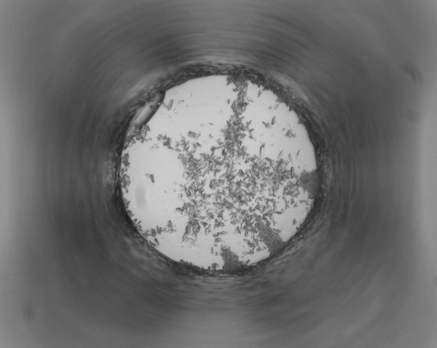 X0000112751110200910011148