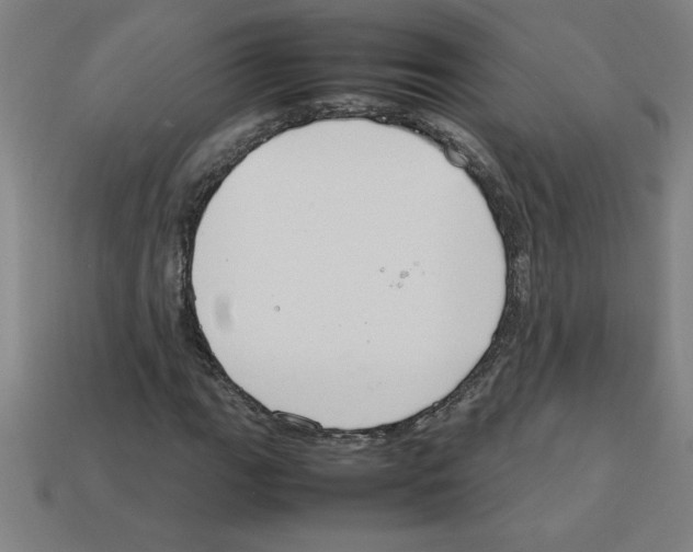 X0000112751111200910011148