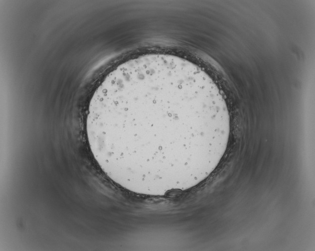 X0000112751112200910011148